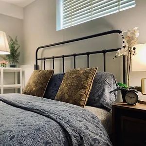 Newly Renovated Elephant Close To Banff And Business Center Villa